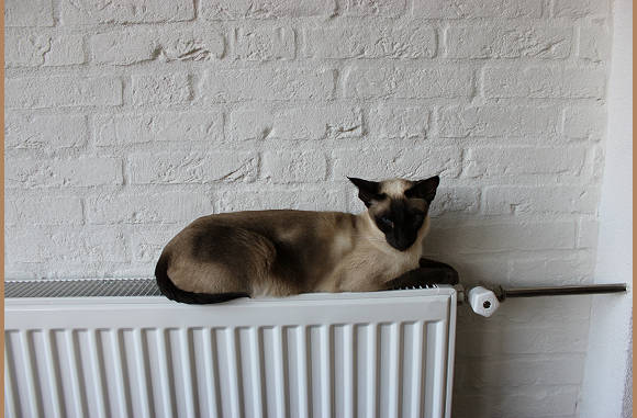 De radiator is warmer