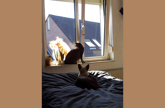 Mogen we een x in de slaapkamer
