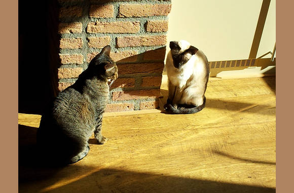Hier met die zon