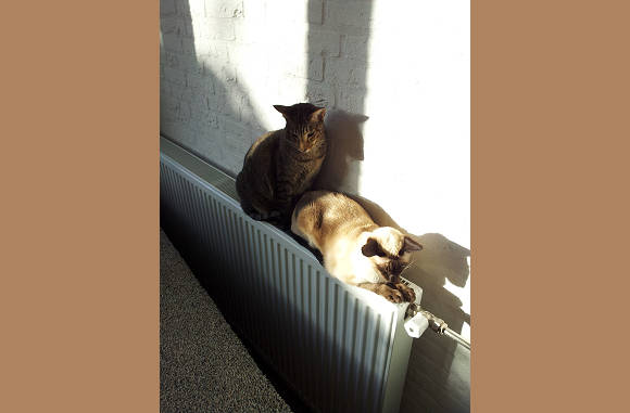 Zon en kachel, wat wil je nog meer