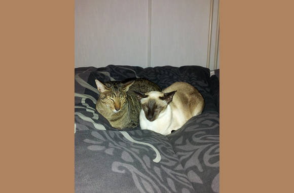 Samen op bed