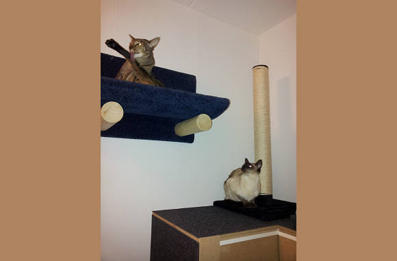 Ondertussen hangt er nog een edje bij voor Cailin