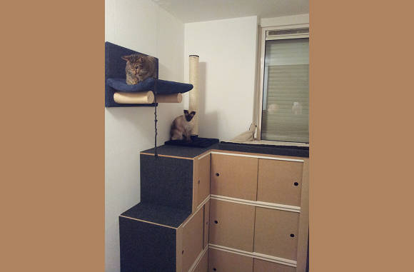 Ons Cats Place