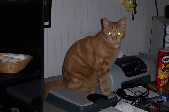 Pixel op de scanner..........