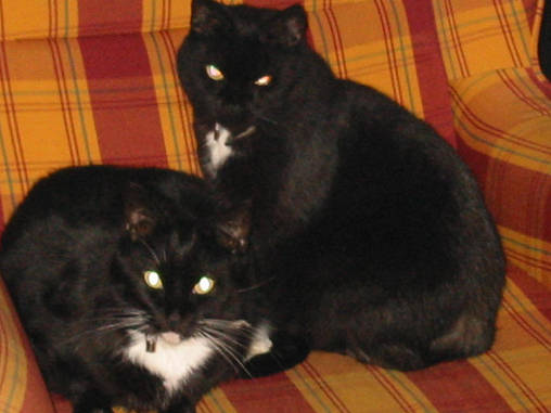 Kees & Thommy, helaas is Thommy op 13-5-2002 overleden