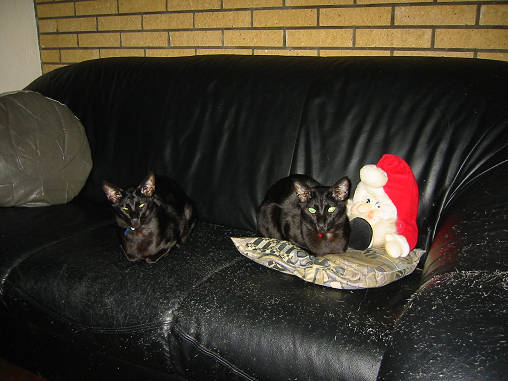 Kerstfeest 2002