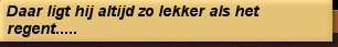 Daar ligt hij altijd zo lekker als het regent.....