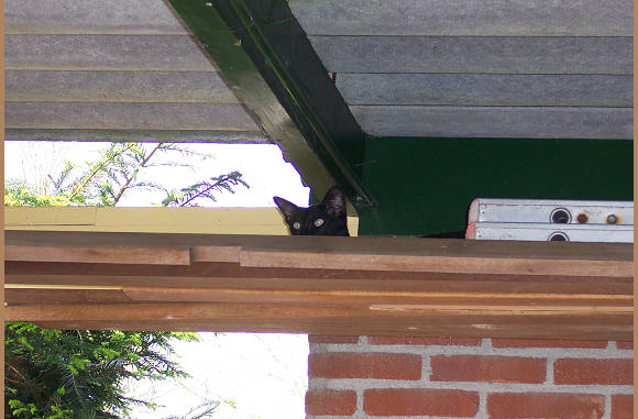 Kiekeboe, op de planken......