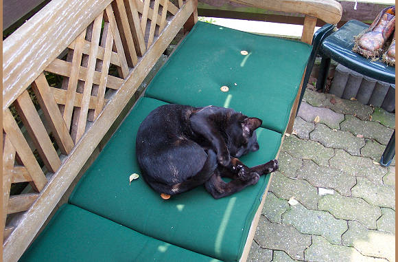 Poema, alweer in de zon, pfffffffffff