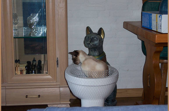 Ja die plee zit comfi....