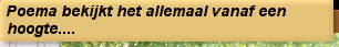 Poema bekijkt het allemaal vanaf een hoogte....