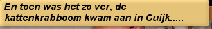 En toen was het zo ver, de kattenkrabboom kwam aan in Cuijk.....