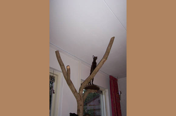 Kijk eens mama, wat hoog.....
