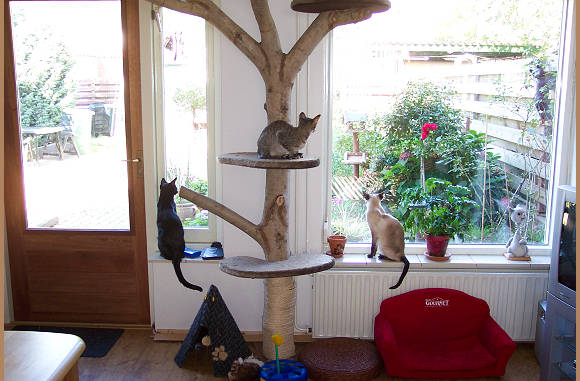 Ook toen stond de boom nog in de huiskamer...