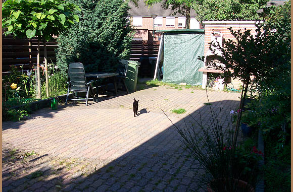 Poema in de toen nog zo geordende tuin...