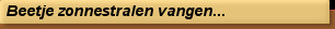 Beetje zonnestralen vangen...