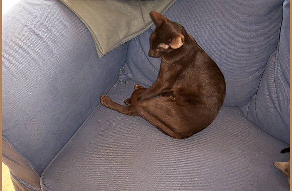 Lady wordt ook wakker.
