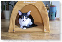 Appie weer in de tent.