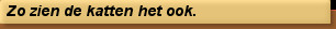 Zo zien de katten het ook.