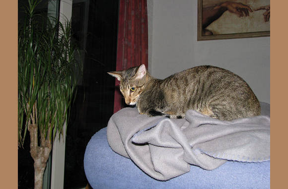 Ach ze heeft die camera net.