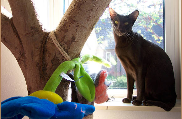 Of zit gewoon in het zonnetje.