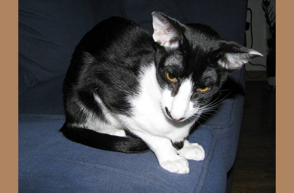 Tja, laat dan maar ff.