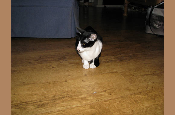 Of mama moet nu kunnen fotograferen.