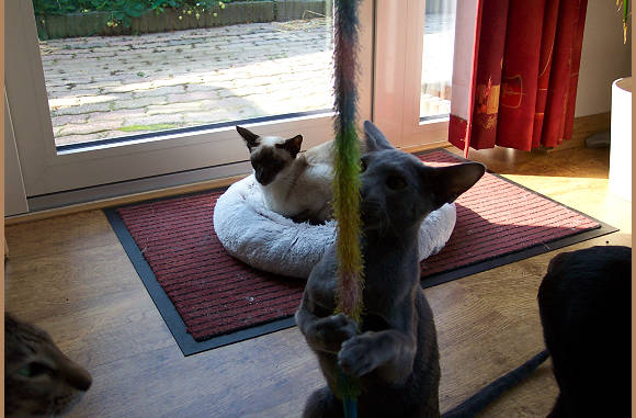 Kijk dan pak ik het.