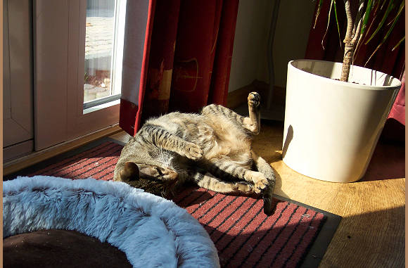 Lekker in de zon gek doen.