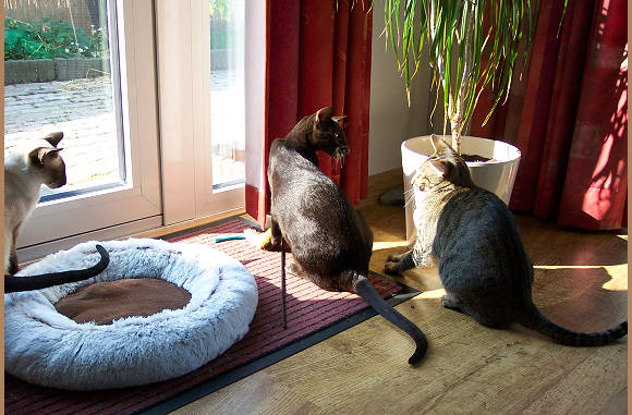 Waar is ie naar toe.