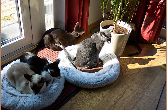 Wij gaan wel weer doen waar we goed in zijn.