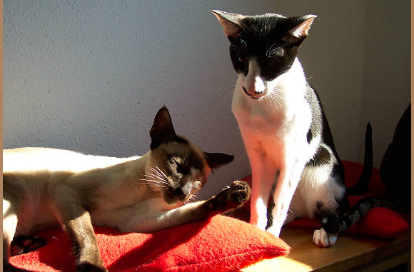 En de rust is er weer.