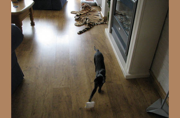 Spelen.