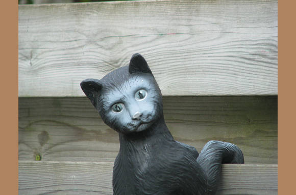 Das een tuin kat.