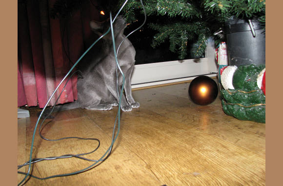 He wat zie ik, Angie niet doen.........