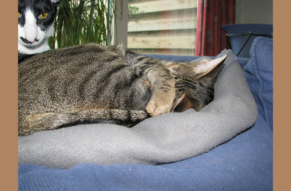 Arm meisje.