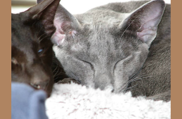 Samen genieten.