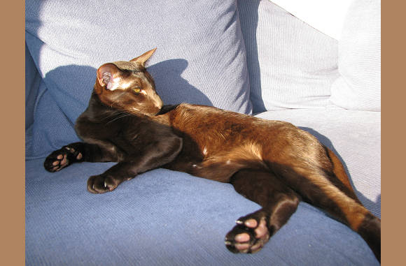 Lady ook genietend van de zon.