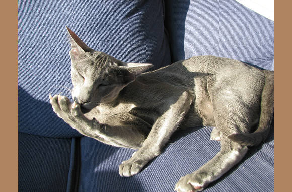 En verder met wassen.