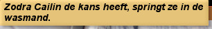 Zodra Cailin de kans heeft, springt ze in de wasmand.