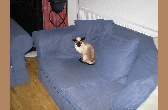 Cailin heeft de bank alleen.