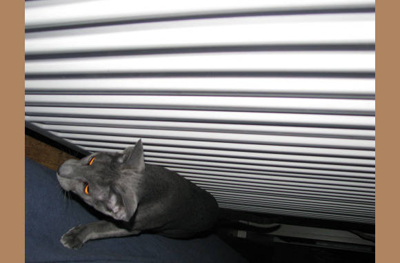 Dit is de radiator, met Angie.
