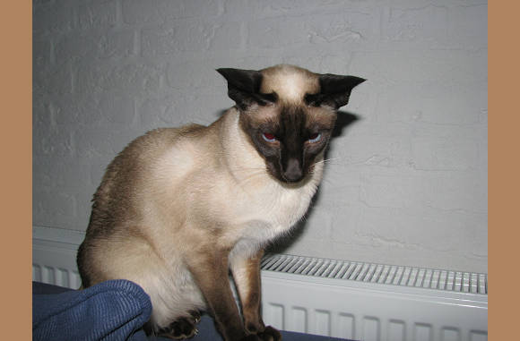 Lekker warm.