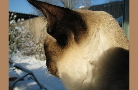 Wat is ze mooi.