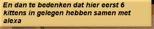 En dan te bedenken dat hier eerst 6 kittens in gelegen hebben samen met alexa
