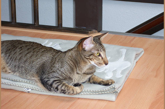 Was da??