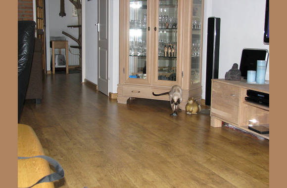 Of spelen met een muis