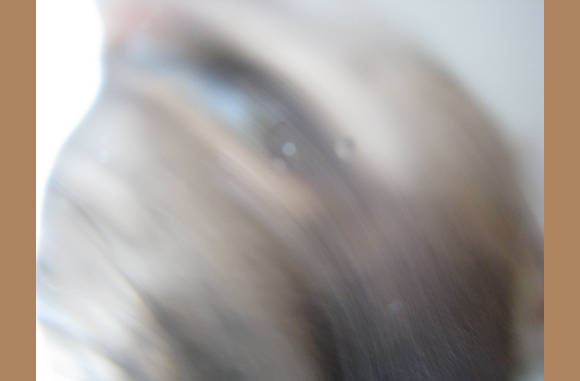 oog