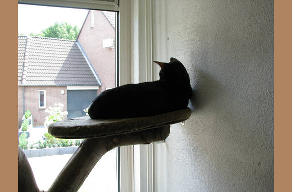 Lekker liggen