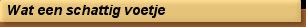 Wat een schattig voetje
